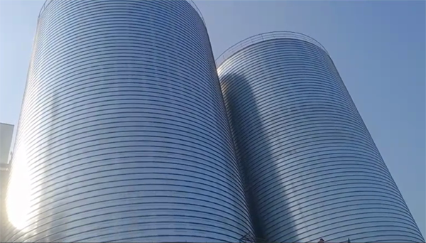 南宁2座混凝土高架卷板仓